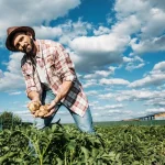 ipm-strategies-staying-ahead-of-the-fall-armyworm-blog-feature-image